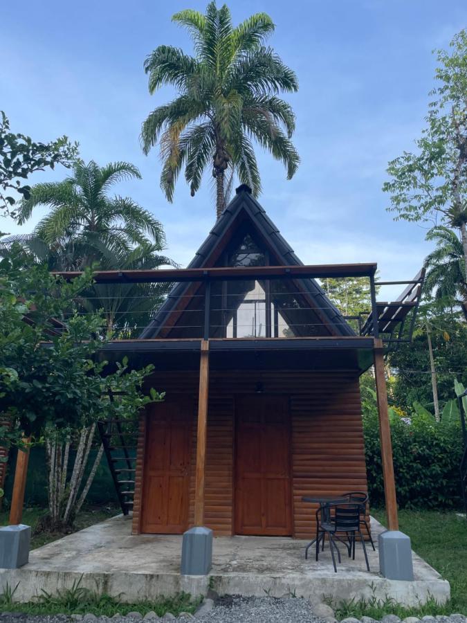 Bungalows Sloth Manzanillo  Rum bild